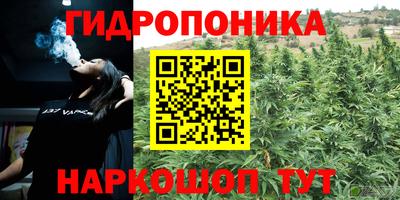 дживик Тверь