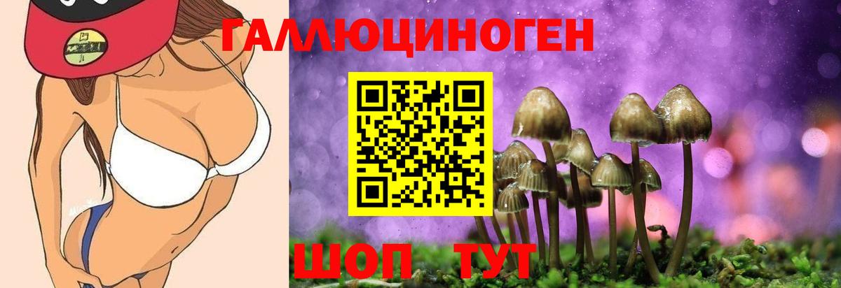 Орехово-Зуево  закладки  Галлюциногенные грибы прущие грибы  Вход с VPN  Галлюциногенные грибы Magic Shrooms 